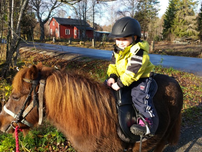 20131028_103531.jpg image