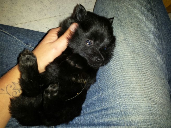 20131028_105506.jpg image