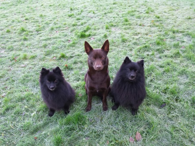 20131108_115852.jpg image