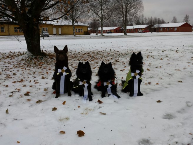 20131109_134929.jpg image