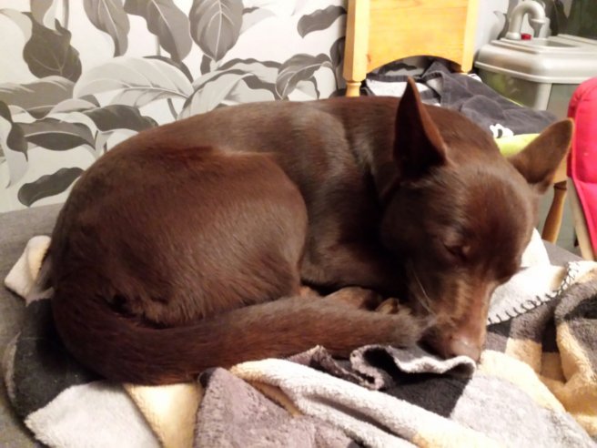 20131113_170429.jpg image