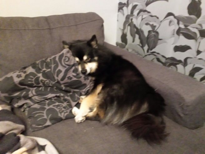 20131114_072710.jpg image