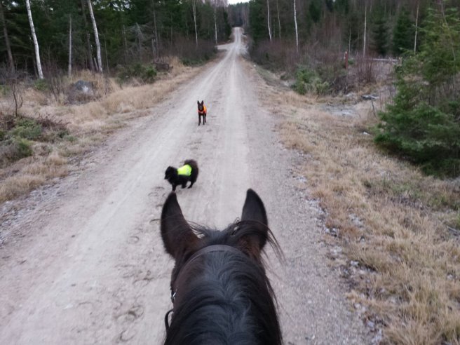 20131114_095250.jpg image