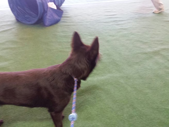 20131115_095805.jpg image