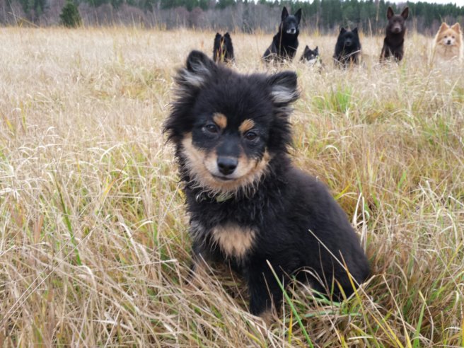 20131118_110713.jpg image