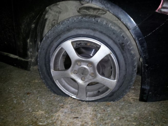 20131123_060318.jpg image