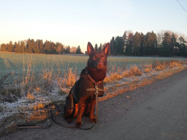 20131123_144305.jpg image