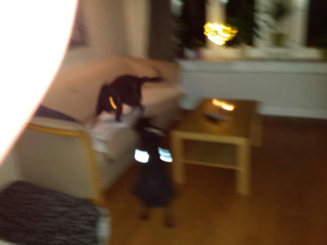 20131123_194903.jpg image