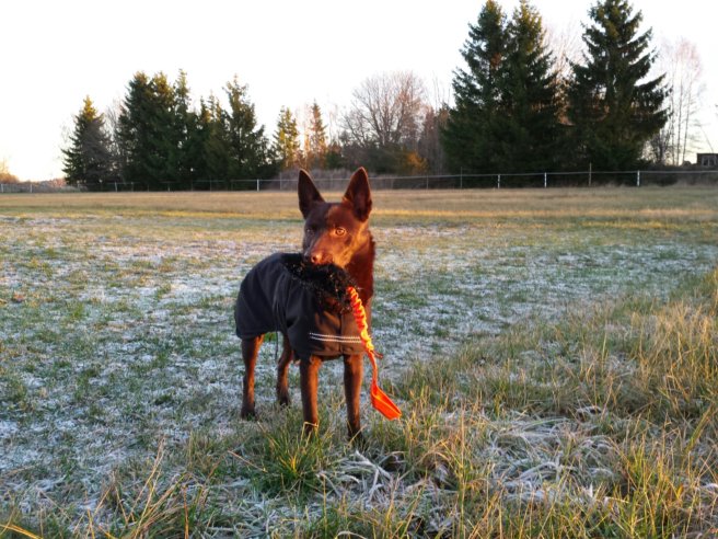 20131124_084627.jpg image