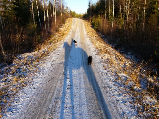 20131125_102838.jpg image