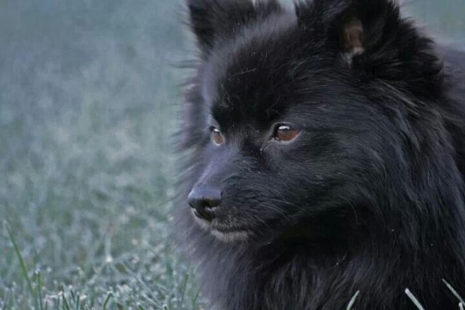 IMG_129098925135386.jpeg image