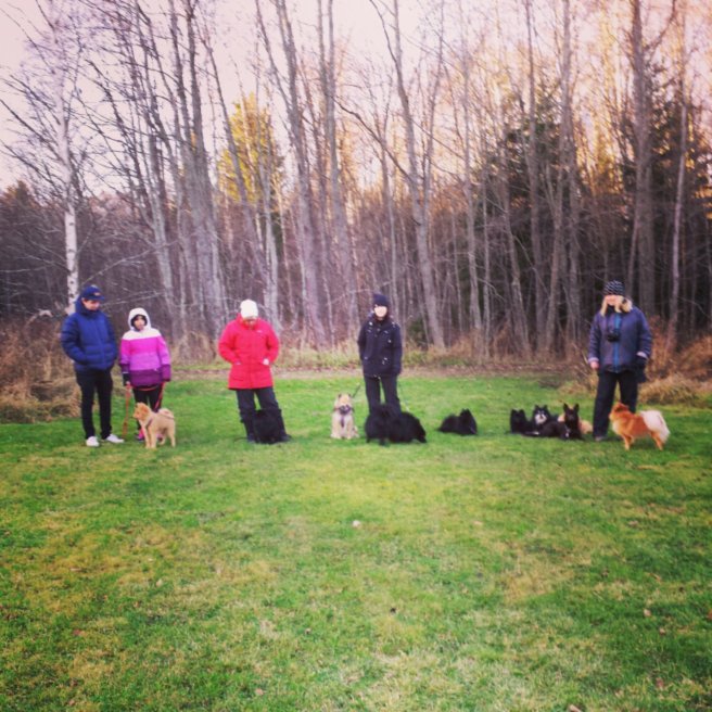 IMG_20131117_133049.jpg image