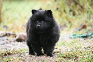 1003558_10151756736702227_1639274390_n