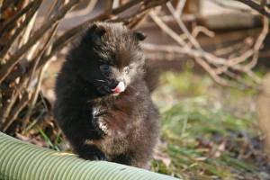 996650_10151749263652227_718756432_n