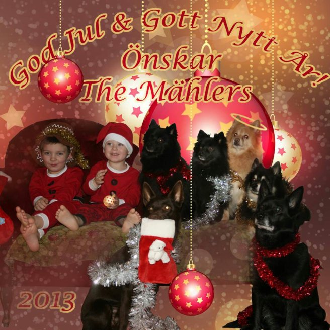 1488352_10153632462035046_1203323830_n.jpg image