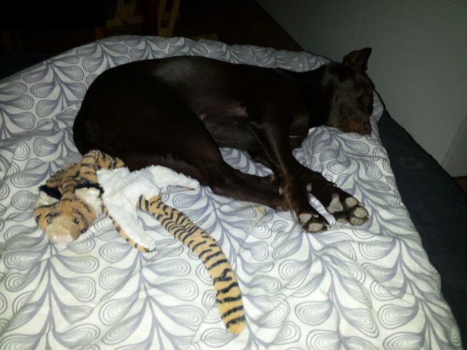 20131121_085619.jpg image