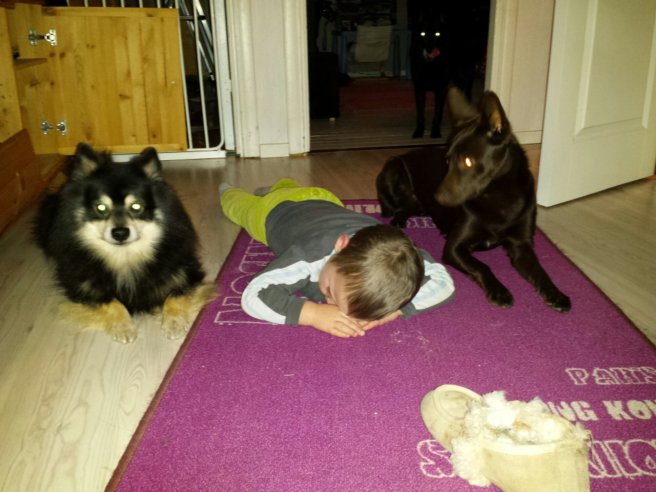 20131202_162146.jpg image