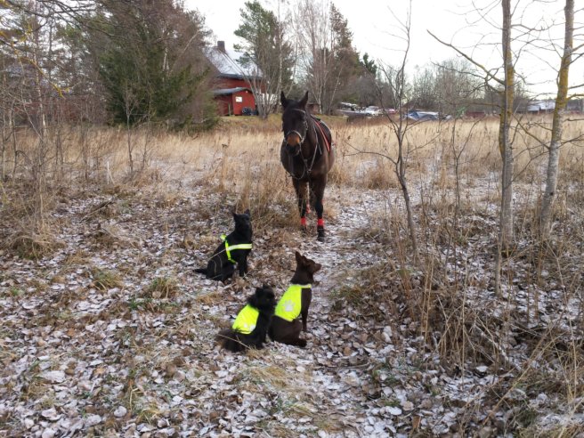 20131205_101011.jpg image