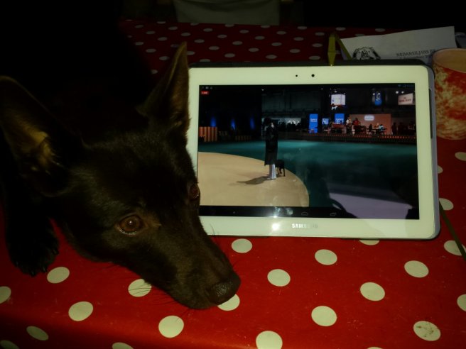 20131207_100348.jpg image