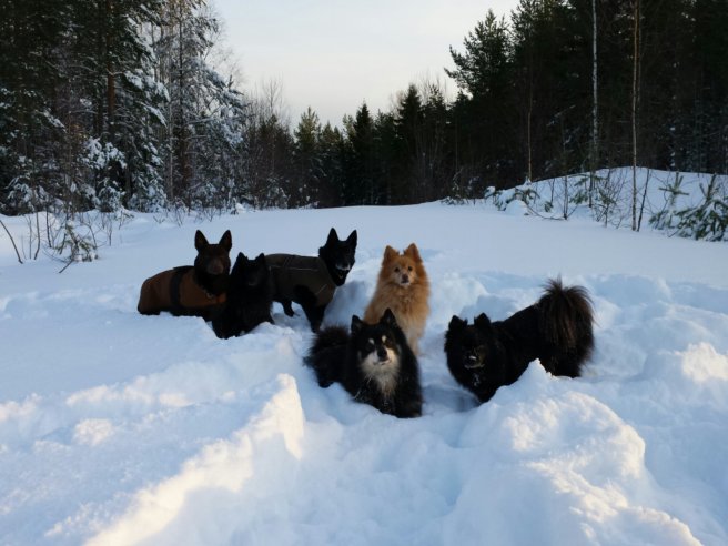 20131207_124518(0).jpg image