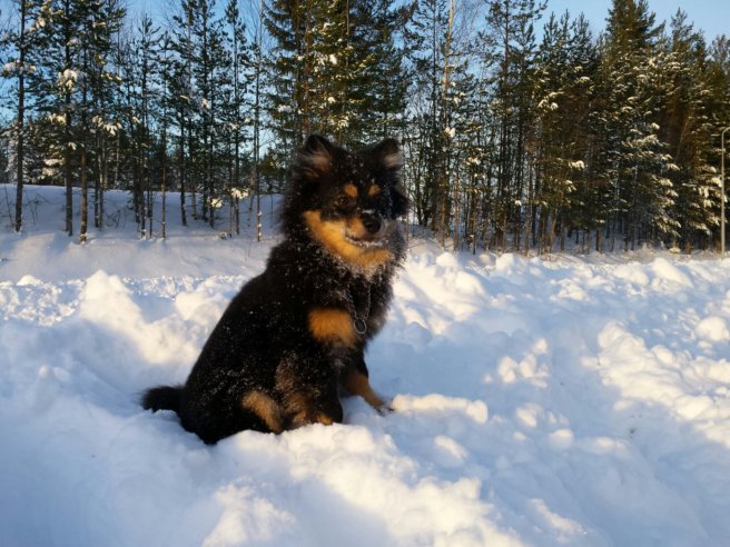 20131207_124532.jpg image