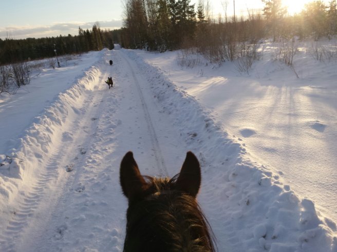 20131209_110657.jpg image