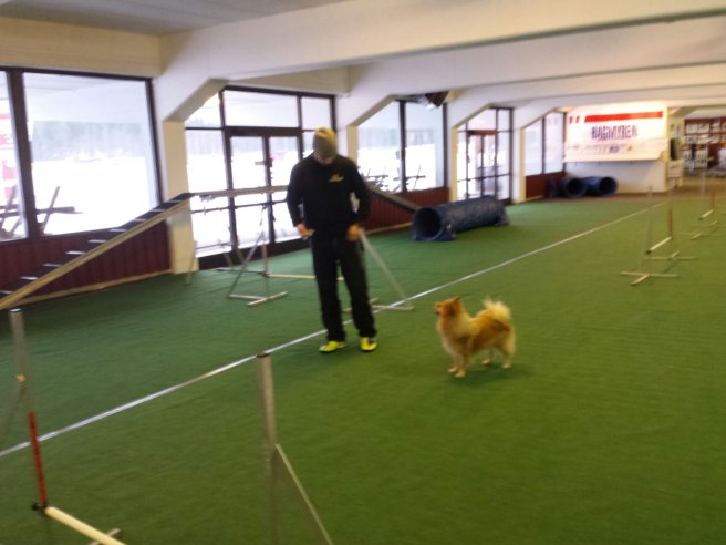 20131216_110049.jpg image