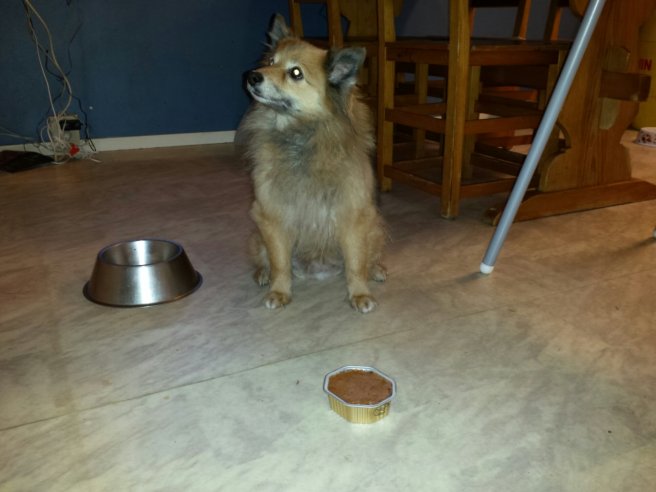 20131224_131655.jpg image