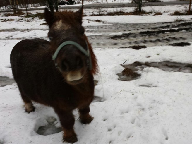 20131224_135304.jpg image