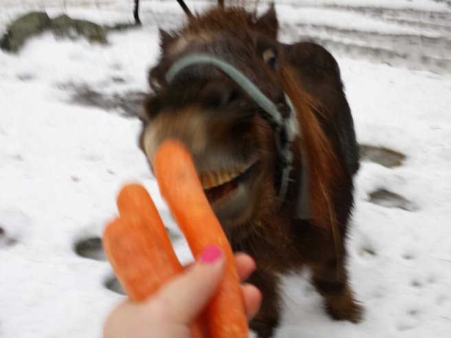 20131224_135307.jpg image