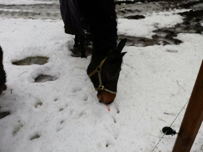 20131224_135314.jpg image