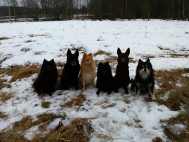 20131224_135751.jpg image