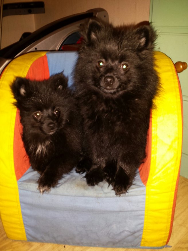 20131224_150058.jpg image