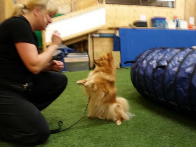 20131228_193217.jpg image