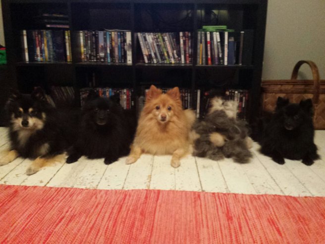 20131229_204624.jpg image