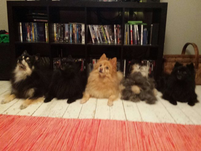 20131229_204635.jpg image