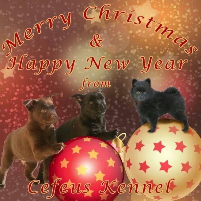 IMG_34116855940164.jpeg image