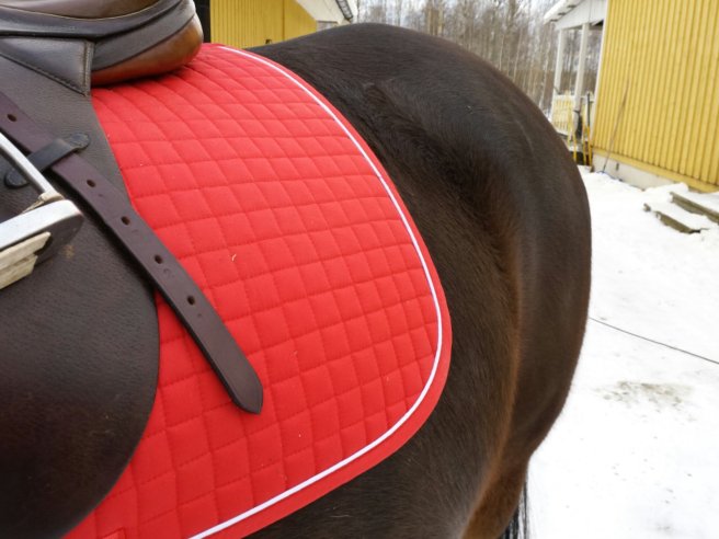 20140129_144208.jpg image