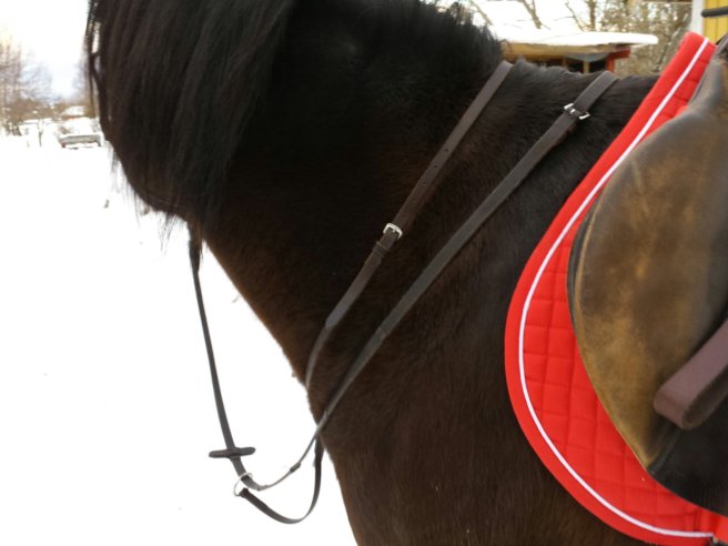 20140129_144214.jpg image