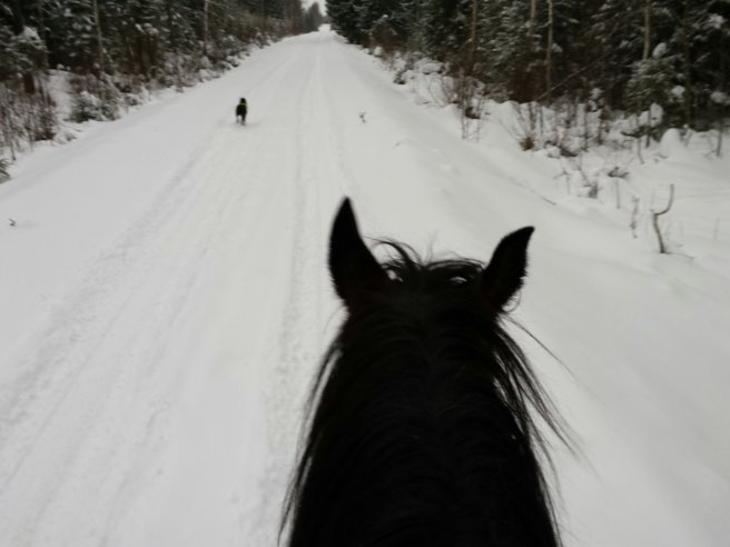 20140201_103810.jpg image