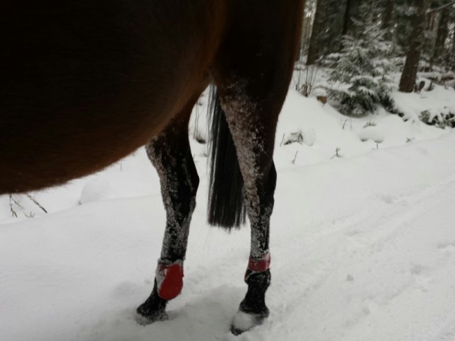 20140201_111042.jpg image