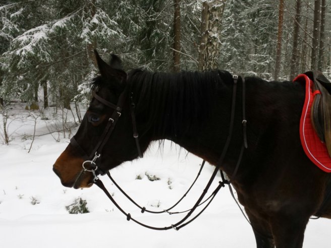 20140201_111053.jpg image