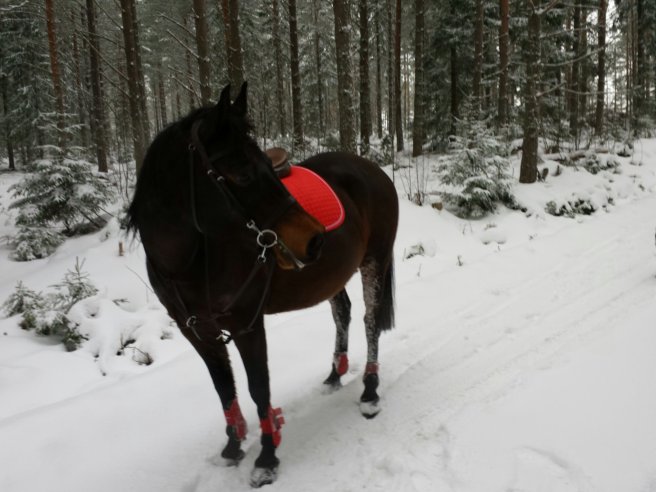 20140201_111105.jpg image