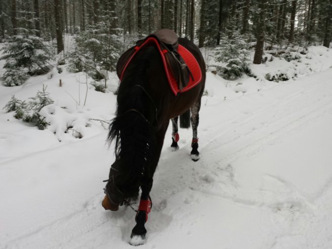 20140201_111138.jpg image