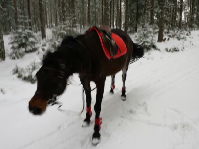 20140201_111141.jpg image