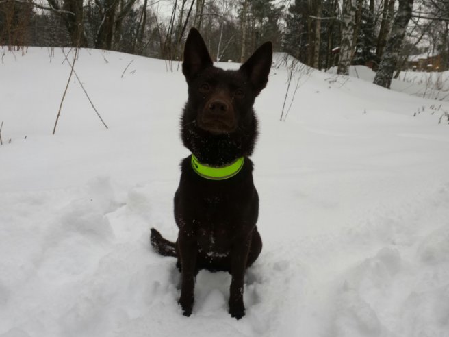 20140201_111841.jpg image