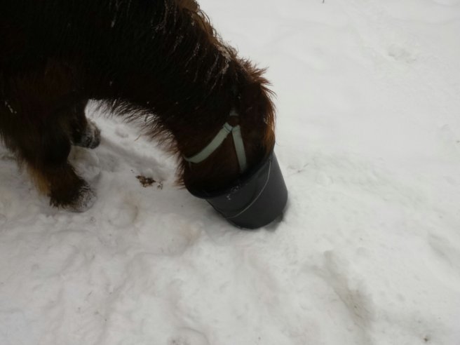 20140201_112909.jpg image