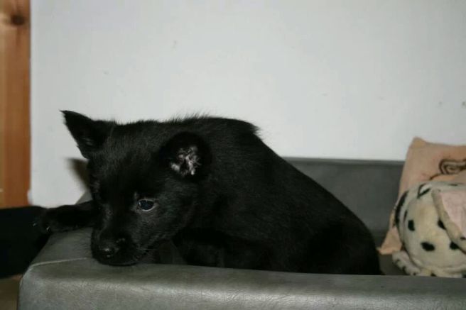 IMG_167831029841019.jpeg image