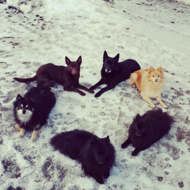 IMG_20140214_180441.jpg image