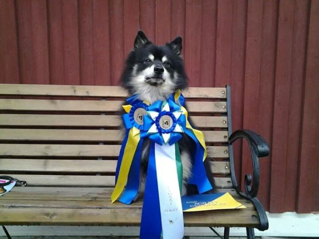 IMG_28209943182822.jpeg image